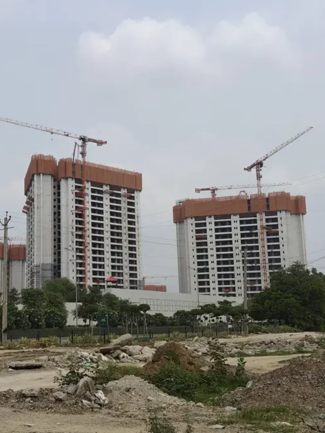 DLF Arbour Project Update